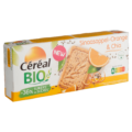 Sinaasappel & Chiazaadkoekjes