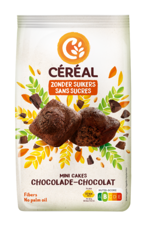 Mini Cakes au chocolat