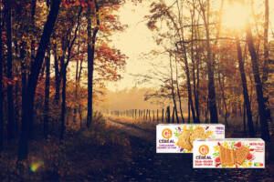 Renforcez votre résistance : santé, convivialité et résilience