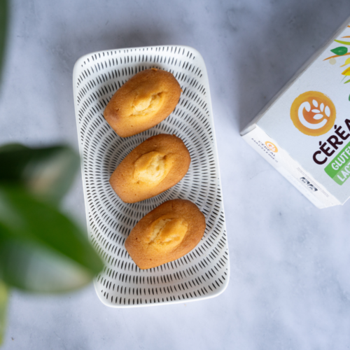 Madeleines
