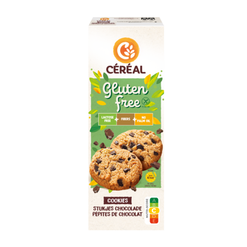 Cookies aux pépites de chocolat