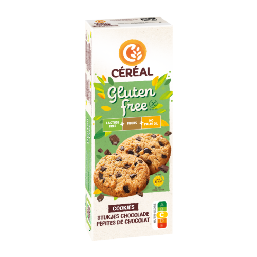 Cookies aux pépites de chocolat